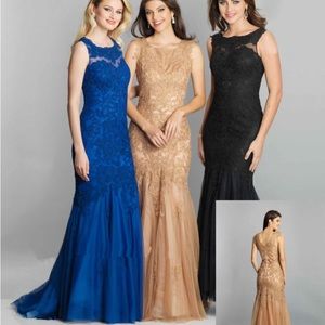 Sapphire lace and tulle gown- Dave and Johnny size 20w